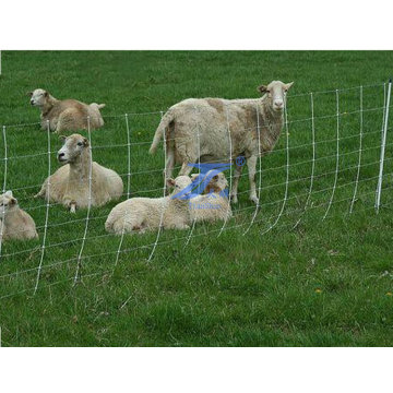 Alimentação animal Grassland Guard Railing Fence